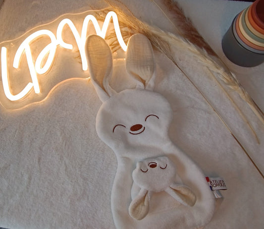 Doudou d'aide à la séparation- Paulin le lapin